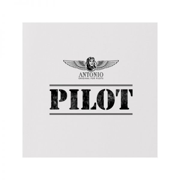 Pilot